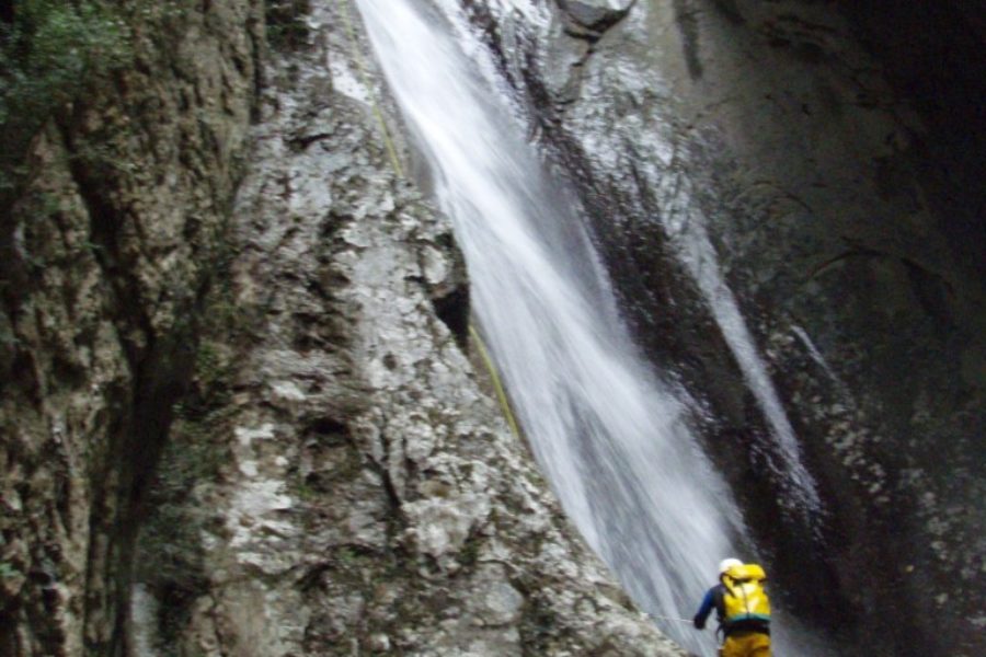 Canyon Althagneta