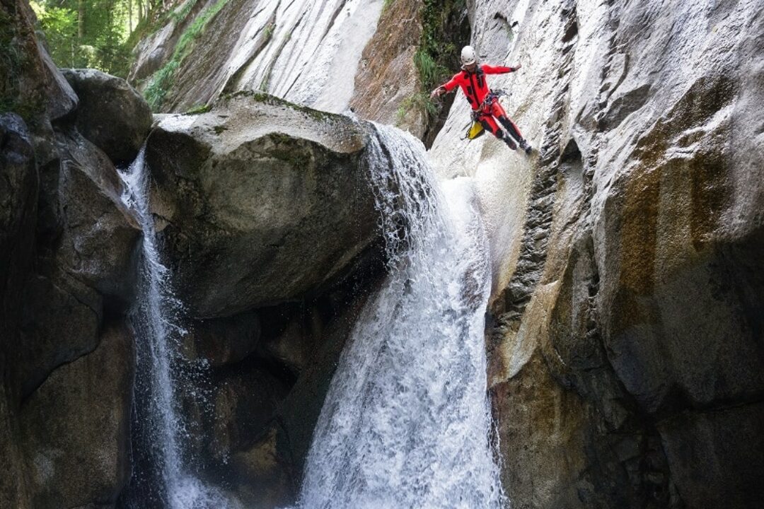 Recherche moniteurs stagiaires