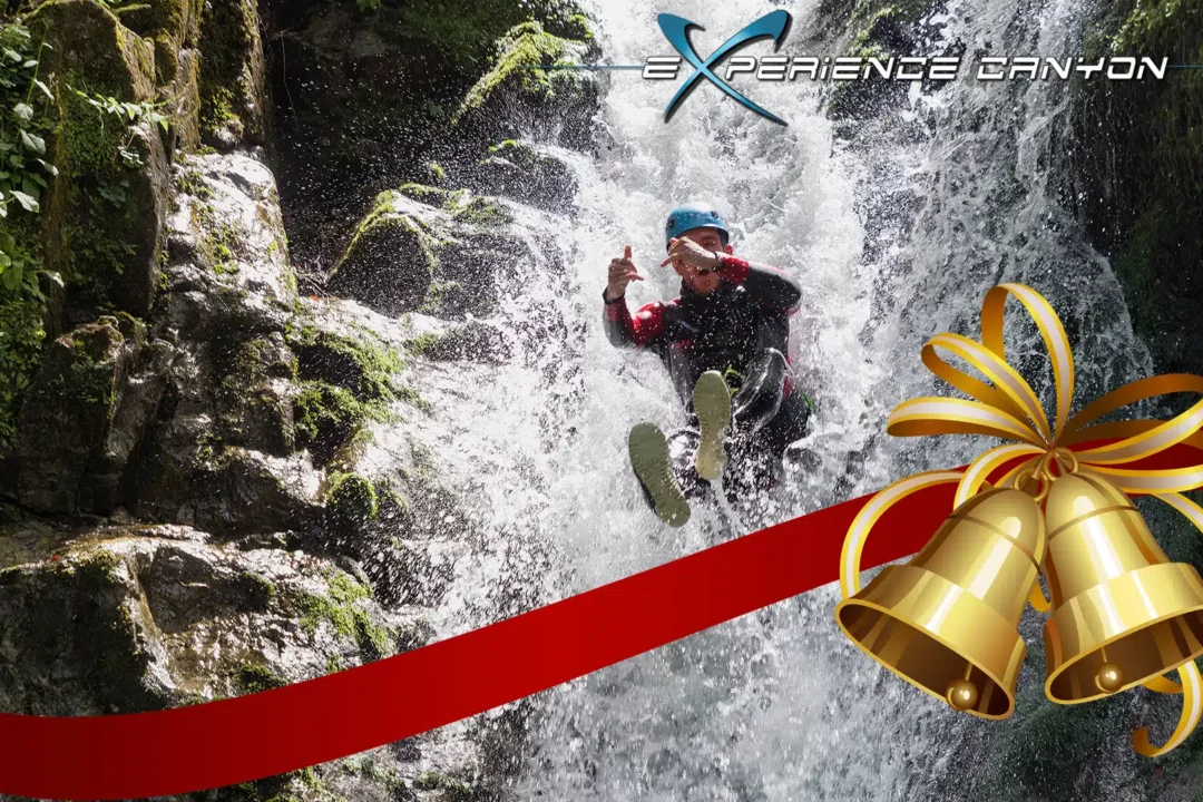 Un cadeau unique pour Noel