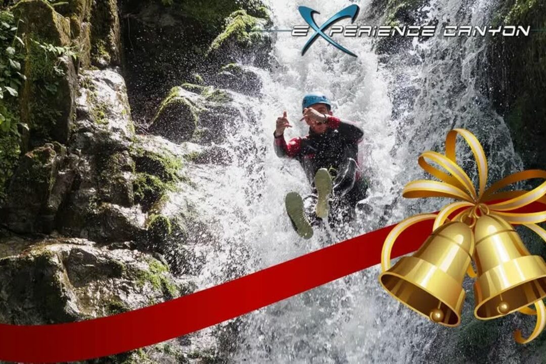 Une idée cadeau pour Noel .?